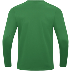 8823/200 Sweater Power