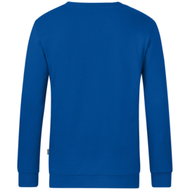 C8820/400 Sweater organic