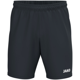8500/830 Trainingsshort One