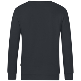 C8820/830 Sweater organic