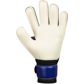 VVH 2585/933 Keeperhandschoenen protect
