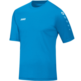 SKH 4233/89 shirt team