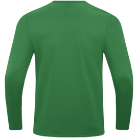 8823/200 Sweater Power