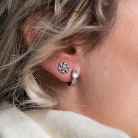iXXXi Oorbellen Sandblasted 14mm.