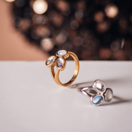 iXXXi Fame ring Vivre