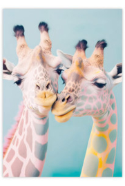 GIVE-X postkaart Giraffen