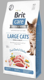 Care Cat Grain-Free Large cats Power & Vitality, 2 kg
