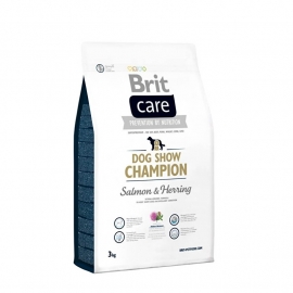 Brit care champion