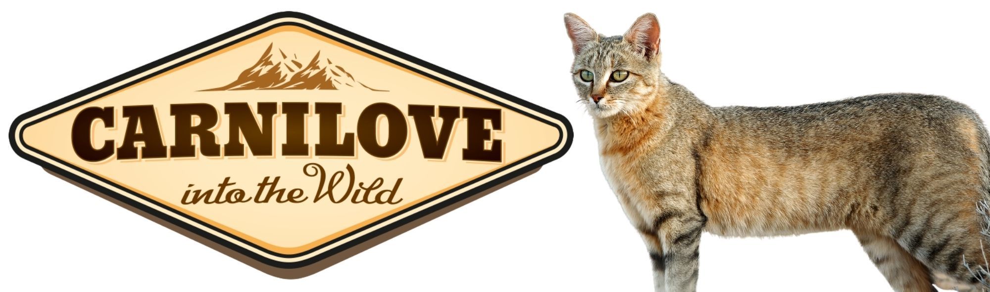 carni cat carni cat