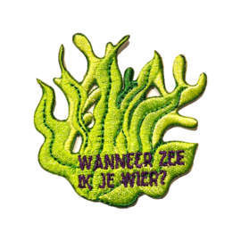 Flirties - Wanneer zee ik je wier