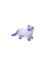 Miniatuur Poesje