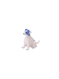 Miniatuur Jack Russell
