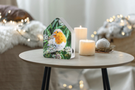 Zwitscherbox Roodborstje - vogelgeluiden met sensor (Limited Edition)