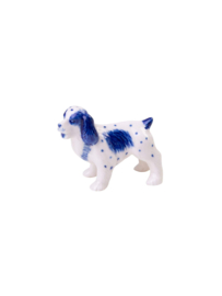 Miniatuur Cockerspaniël