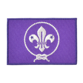 Embleem vlag Scouting