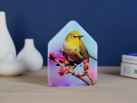 Zwitscherbox Grijsrugbrilvogel - vogelgeluiden met sensor (Limited Edition)