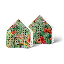 Zirpybox Wild Flowers - zomerse geluiden met sensor (Limited Edition)