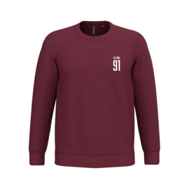 Gepersonaliseerde sweater met naam en rugnummer - beschikbaar in 5 kleuren