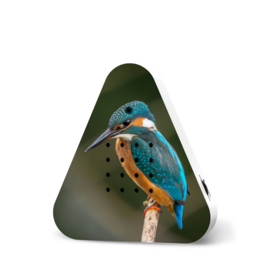Lakesidebox IJsvogel - meergeluiden met sensor (Limited Edition)