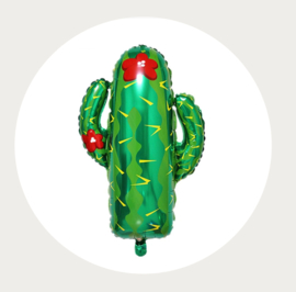 Cactus folie ballon