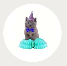 Taarttopper poes 1