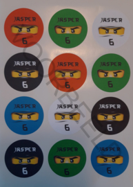 Ninjago label stickers met eigen naam en leeftijd