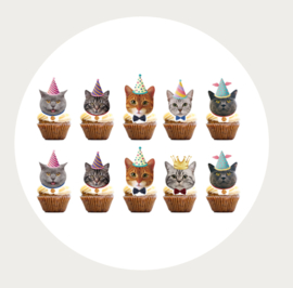 cupcake topper - poes feesthoed