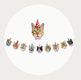 Katten banner - vlaggenlijn feesthoed