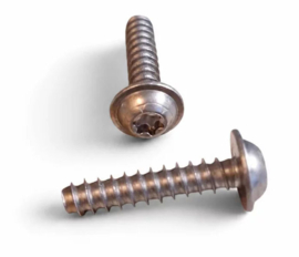 20x RVS Vientosurf voetband parker 6x30mm Torx 25 schroef/50% goedkoper dan in surfshop/A+++ kwaliteit