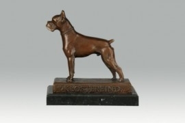 Bronzen boxer hond