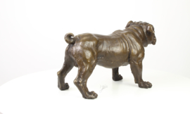 Decoratief beeld van een Bulldog.