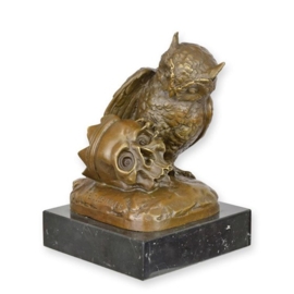 Bronzen Sculptuur van een Uil en Schedel