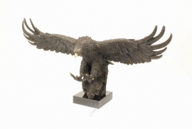 Bronzen beeld van een adelaar in glijvlucht