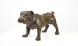 Decoratief beeld van een Bulldog.