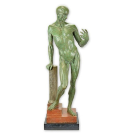 Een bronzen anatomische studie van een gevilde man