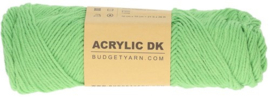 BudgetYarn Acrylic DK - Grass 082