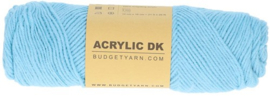 BudgetYarn Acrylic DK - Nordic Blue 064