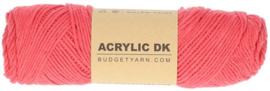 BudgetYarn Acrylic DK - Salmon 040