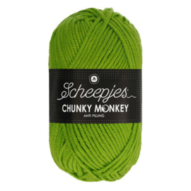 Chunky Monkey Fern - 2016