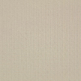 Lilian Canvas Punch fabric