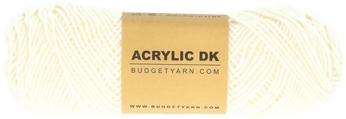 BudgetYarn Acrylic DK - Cream 001