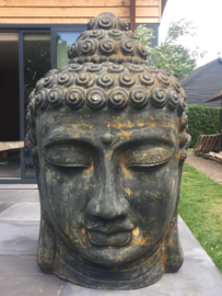 Very big buddha head