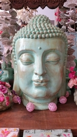 Budhha Head