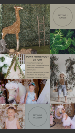 Pony Fotoshoot 24 juni | Bloesem & Jungle