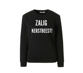 Strijkapplicatie Zalig Kerstbeest !