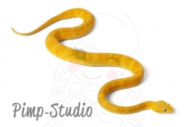 Strijkapplicatie Snake