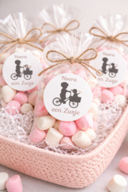 Sluitzegel Hoera, een Zusje! – Fietsje*