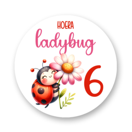 Traktatiestickers Ladybug