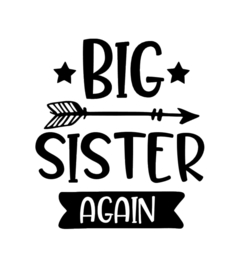 Big Sister again