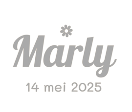Naamsticker* geboortedatum* - Marly